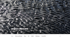 Desktop Screenshot of jamesmcgirk.com